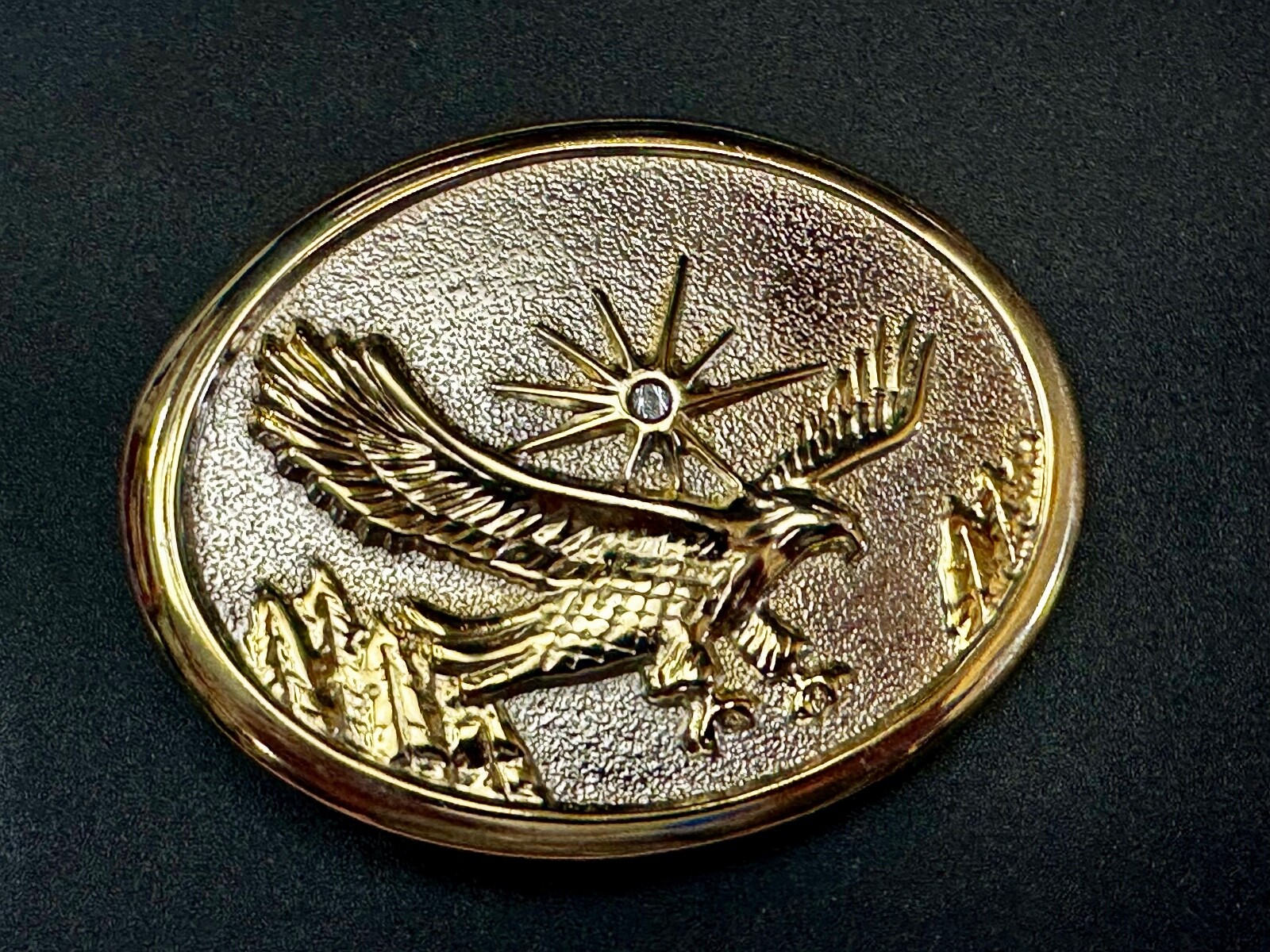Eagle With Starburst USA Patriotic Belt Buckle Golden Western Bird Wings Cowboy