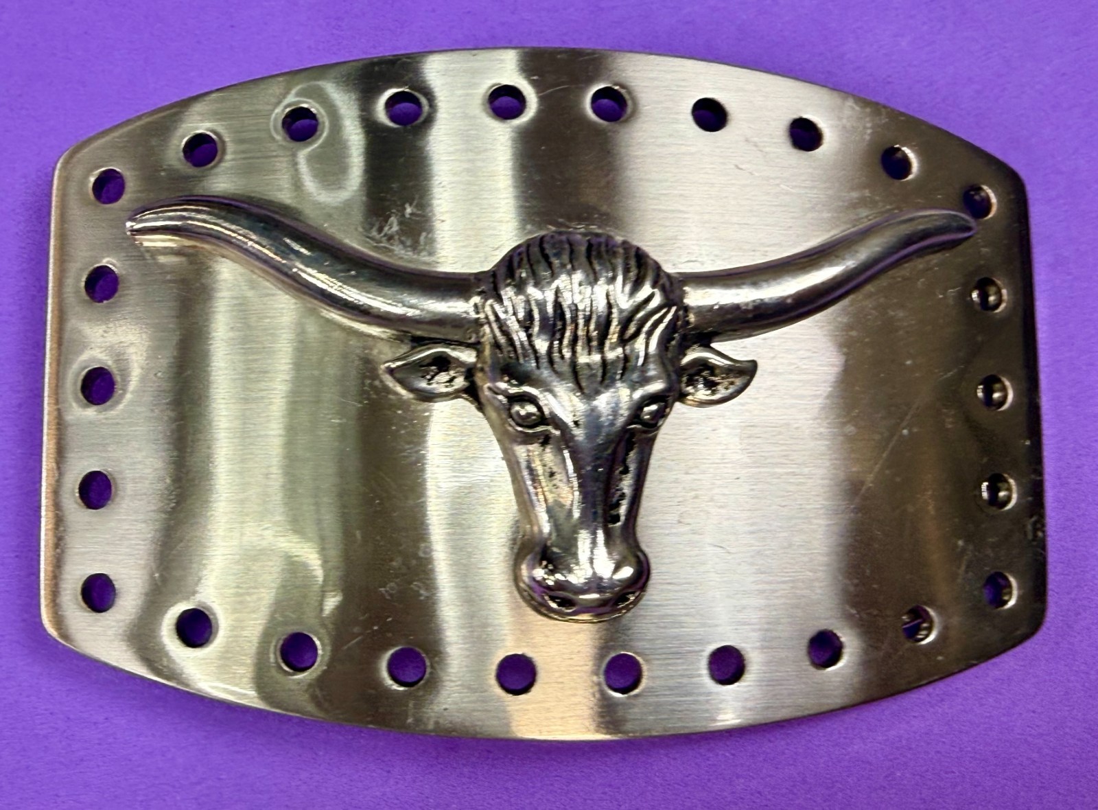 Longhorn Steer Skull Raised Silver Tone Large Belt Buckle With Hole Border