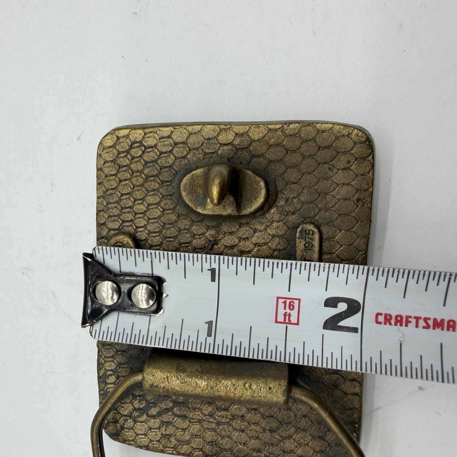 Vintage Enameled Metal Fishing Trout Belt Buckle Green Water Colorado