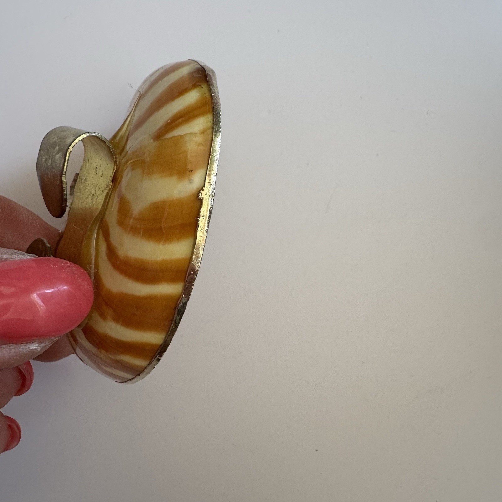 Vintage Nautilus Shell Belt Buckle Brown Gold Tone Coastal Beach