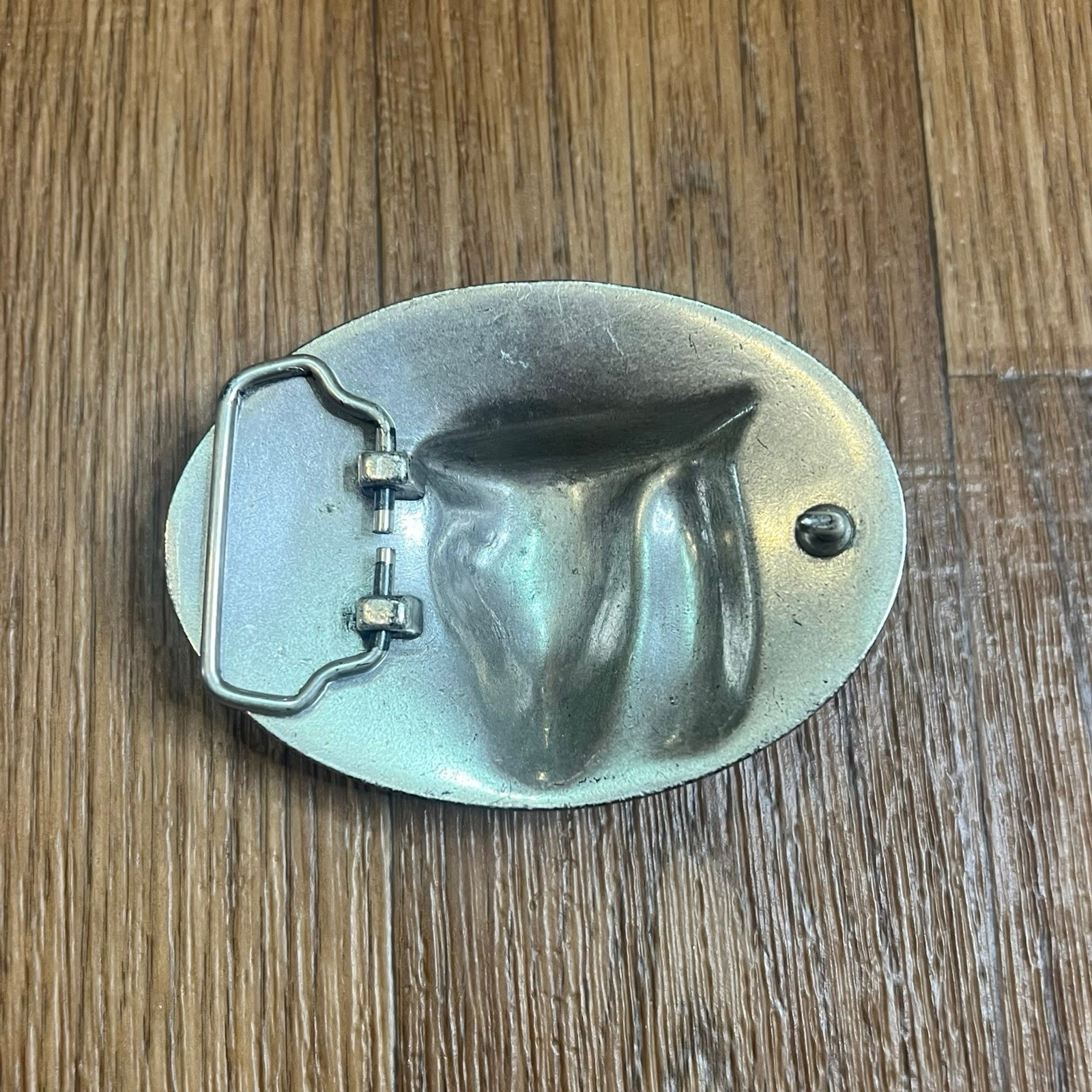 Buffalo Skull Horns Steel Belt Buckle Cowboy Native Western Oval Desert Scene
