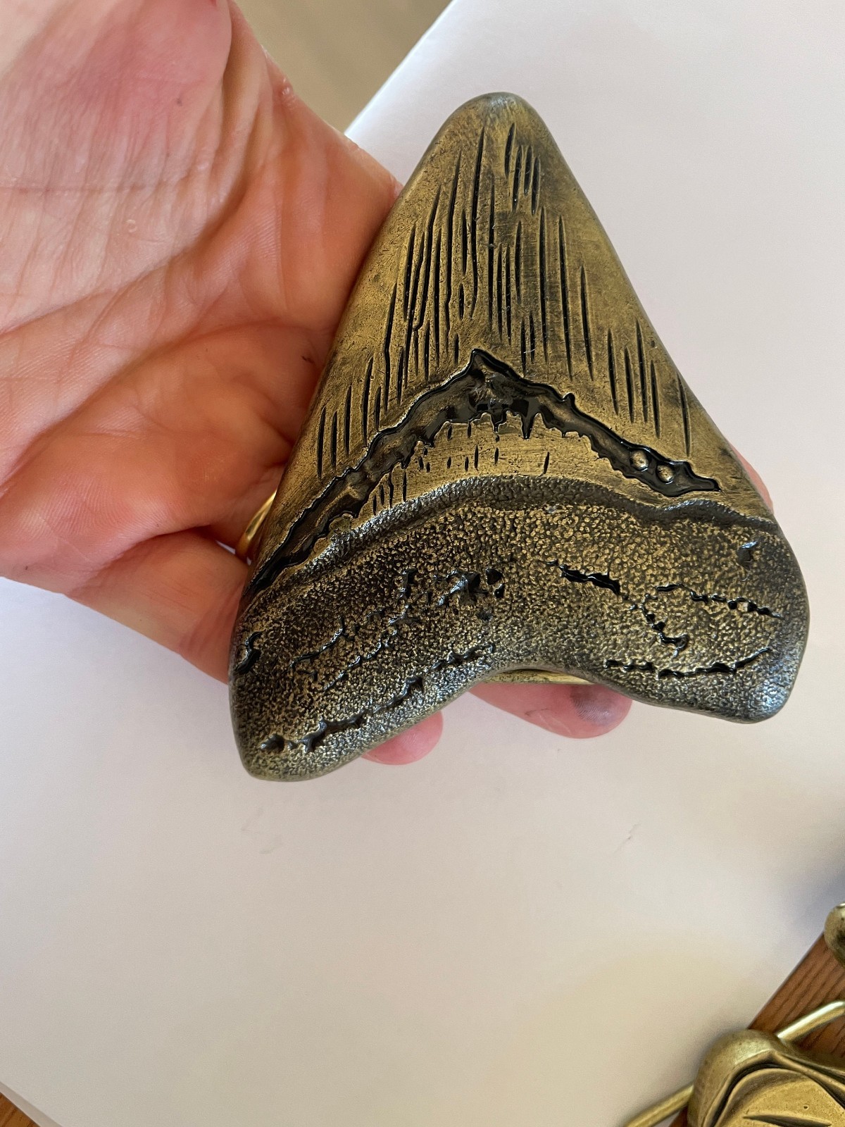 Large Sharks Tooth Belt Buckle Fossil Style Fits 1.5 Inch Western Strap