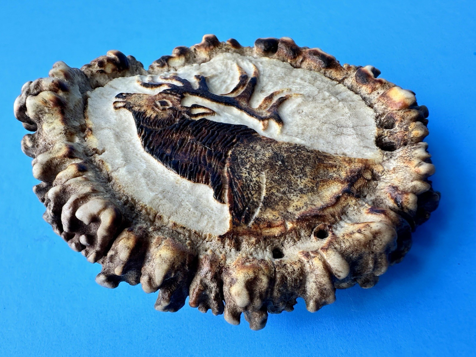 Vintage Elk Antler Belt Buckle Hand Carved M Horvat Western Rustic
