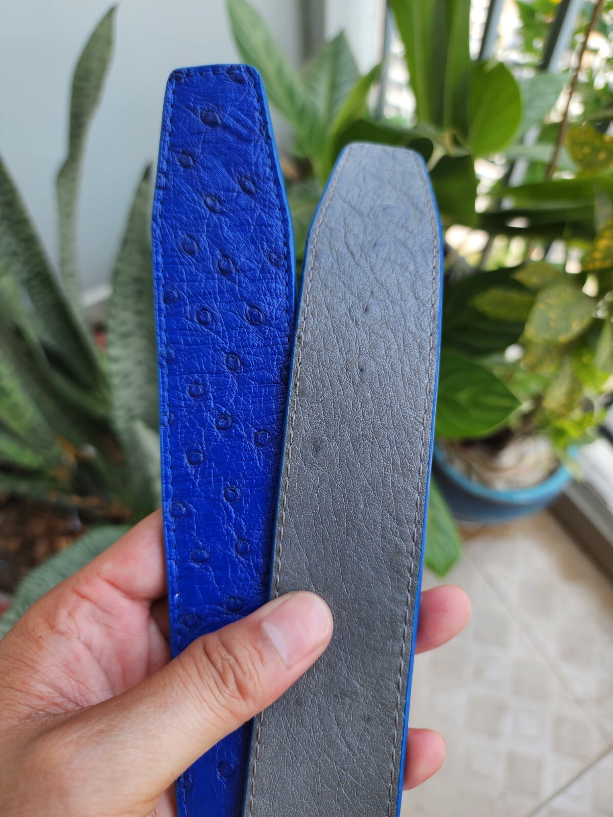 3.8CM Gray/Blue 100% Genuine Ostrich Leather Skin Men Belts Buckle-Handmade