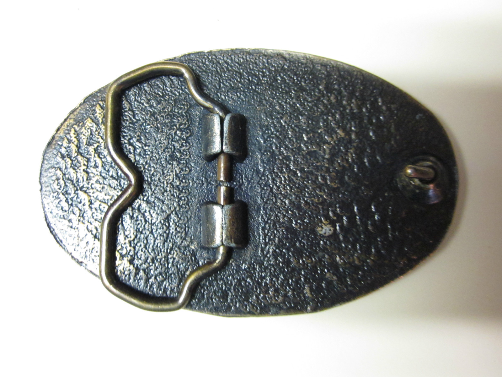 Bluegrass Brass-3 x 2 inch Belt buckle-