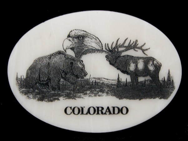NF09149 *NOS* REALLY NICE **COLORADO (WILDLIFE)** WHITE MARBLE STONE ART BUCKLE