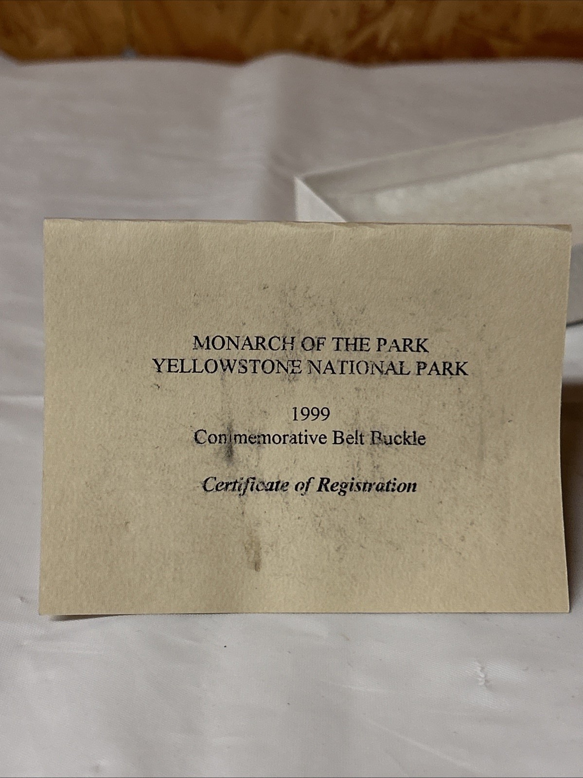 Rocky Mountain Wonderland Ltd Edition Hamilton Stores Yellowstone Belt Buckle 9A