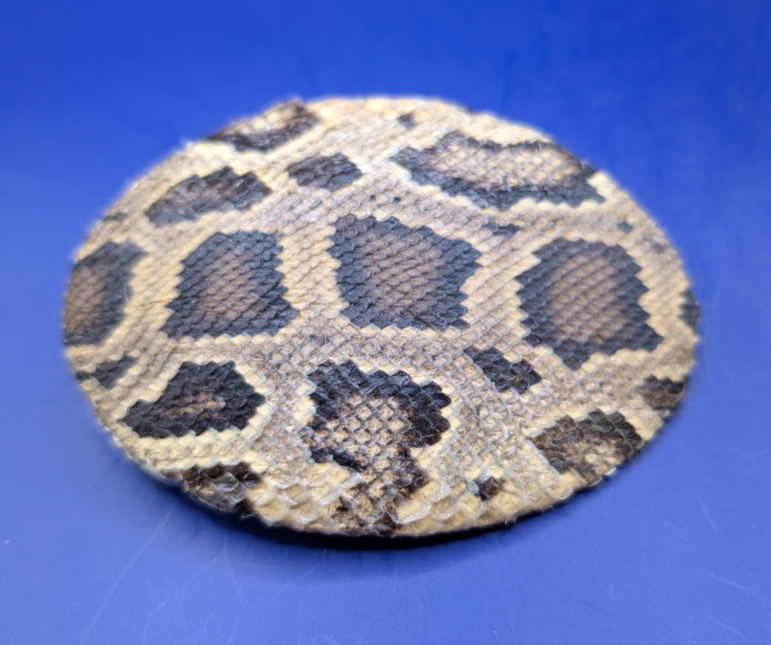Real Burmese Python Snakeskin Belt Buckle Rolled Edge made in USA