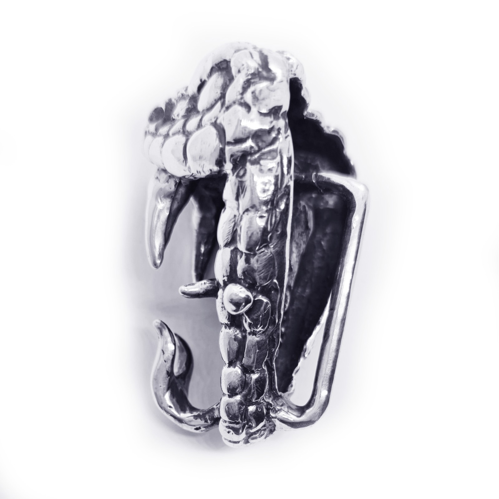 Snake Bite Sterling Silver Belt Buckle