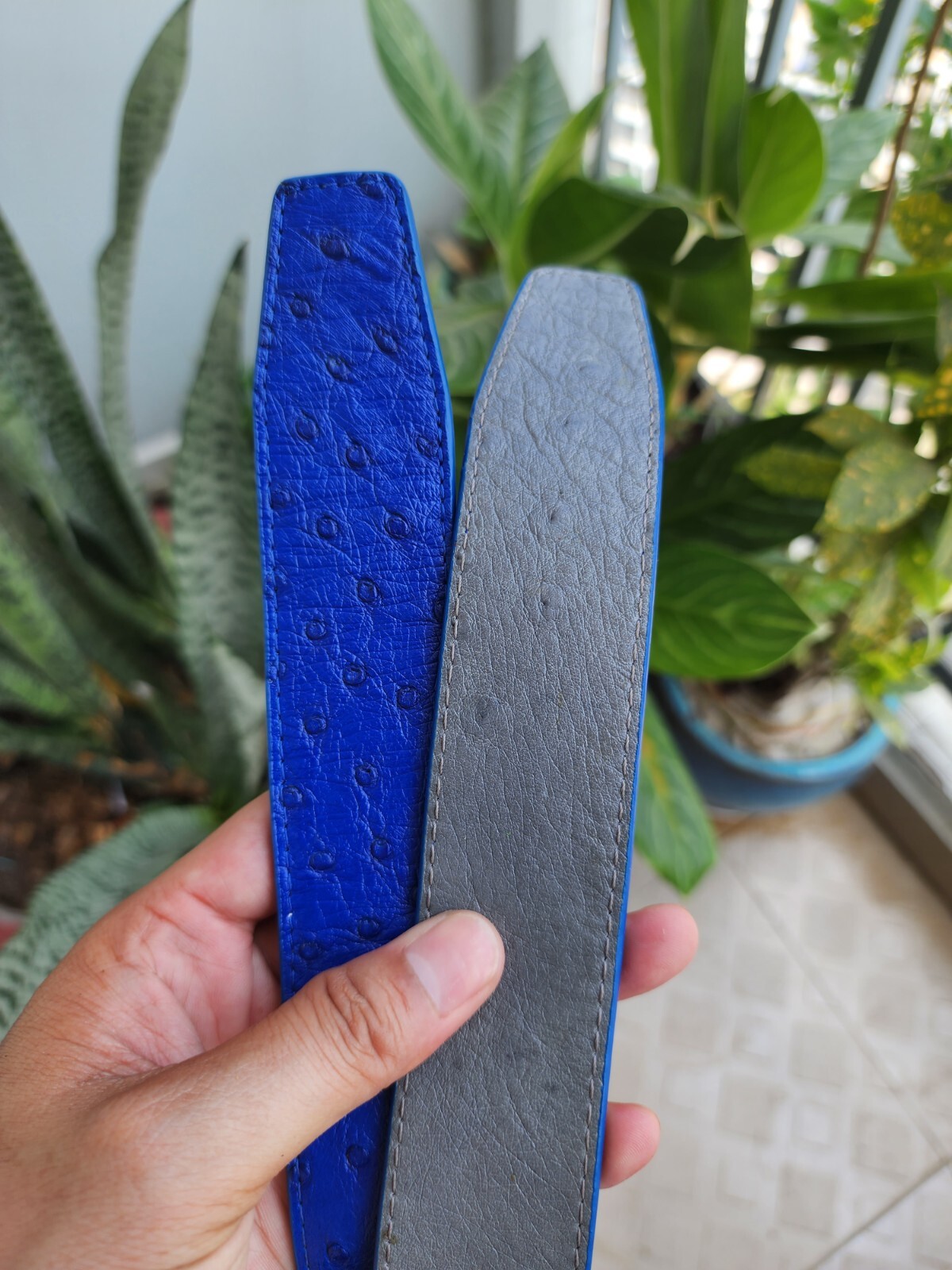3.8CM Gray/Blue 100% Genuine Ostrich Leather Skin Men Belts Buckle-Handmade
