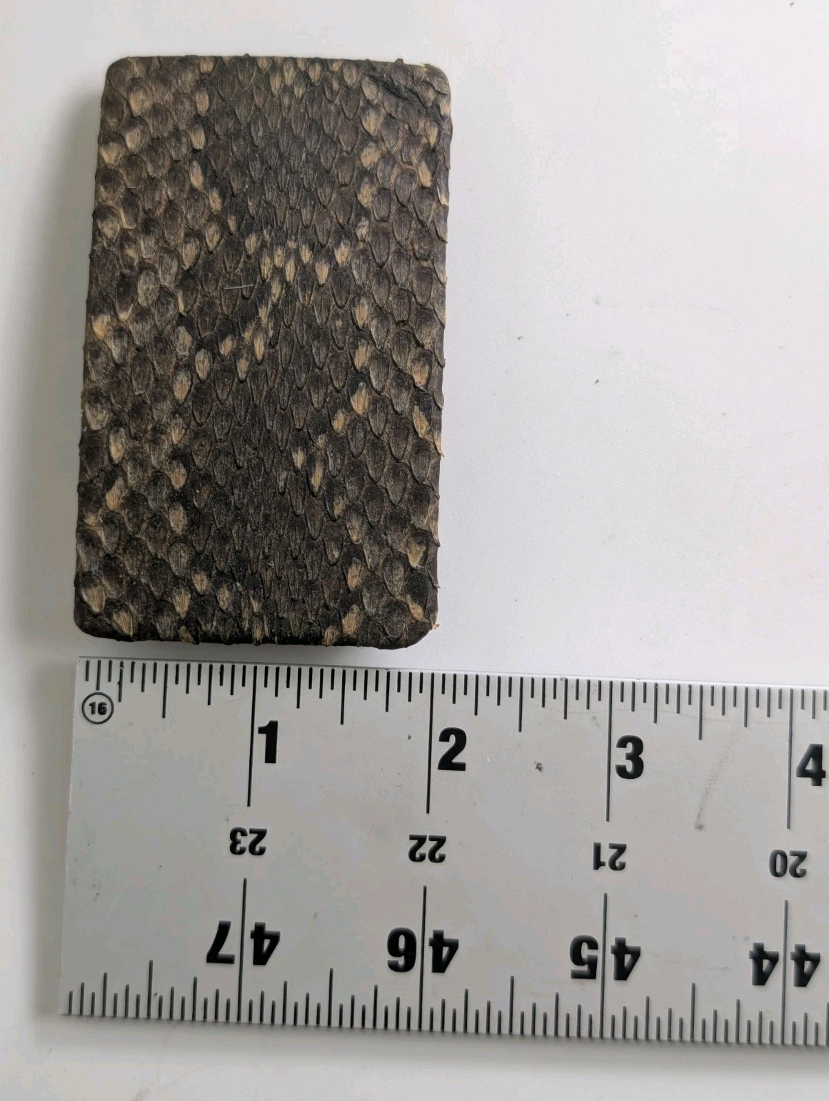 Vintage Genuine Python Snakeskin Belt Buckle Leather Western Exotic Handmade
