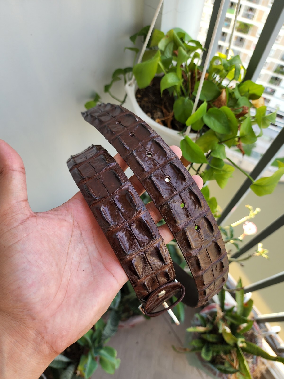3.8CM Brown 100% Genuine Exotic Leather Skin Men Belt Silver Buckle- Handmade