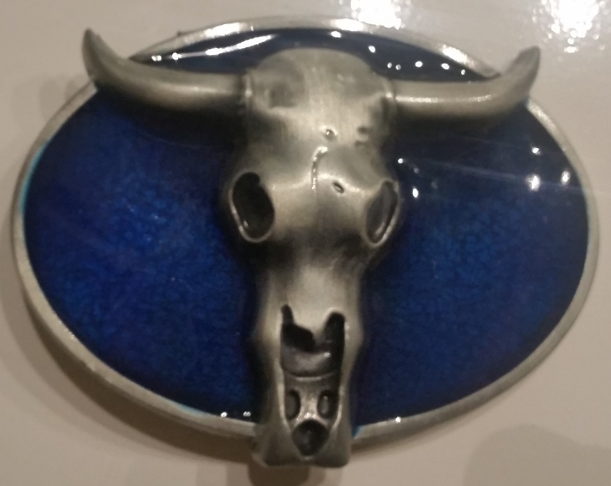✖ WESTERN Skull Cowboy Rodeo Style ✖ Belt Buckle Buck ✖ blue antique silver