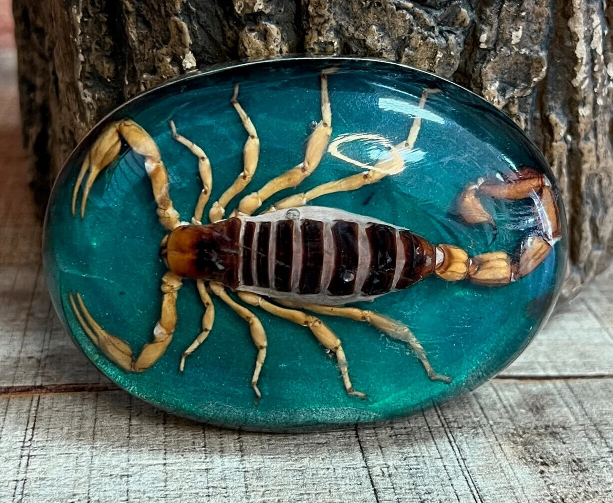 Men Women Real Scorpion Belt Buckle Western Cowboy Vintage MADE IN HECHO MEXICO