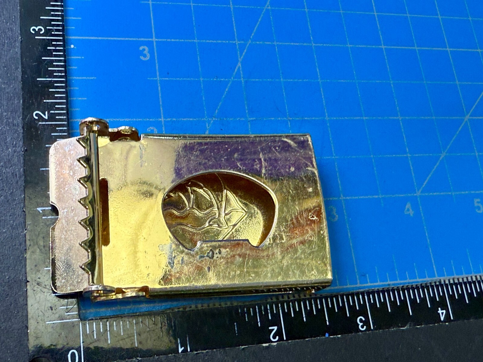 Amazon River Rare Pink Dolphin Jumping Nautical Gold Color Ratchet Belt Buckle