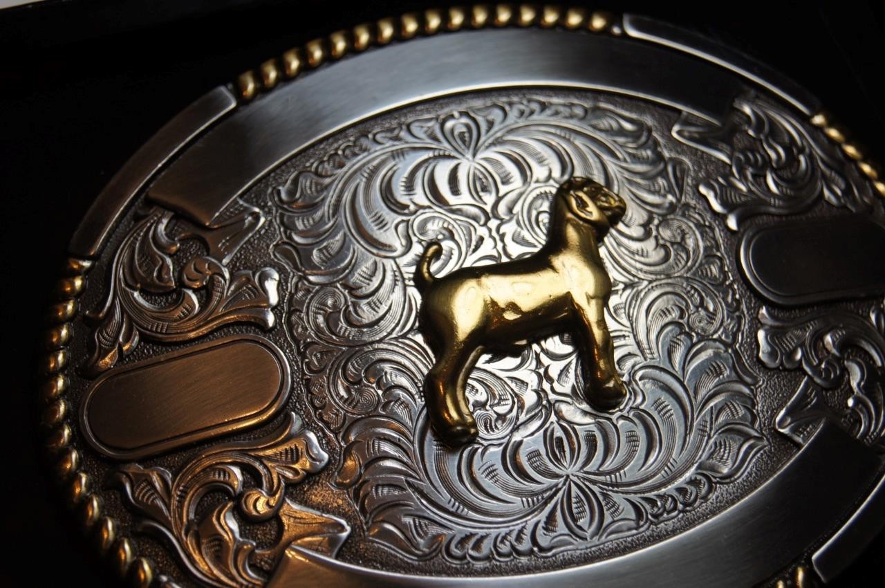 Crumrine Trophy Buckle Oval Goat Ribbons Belt Buckle 38666
