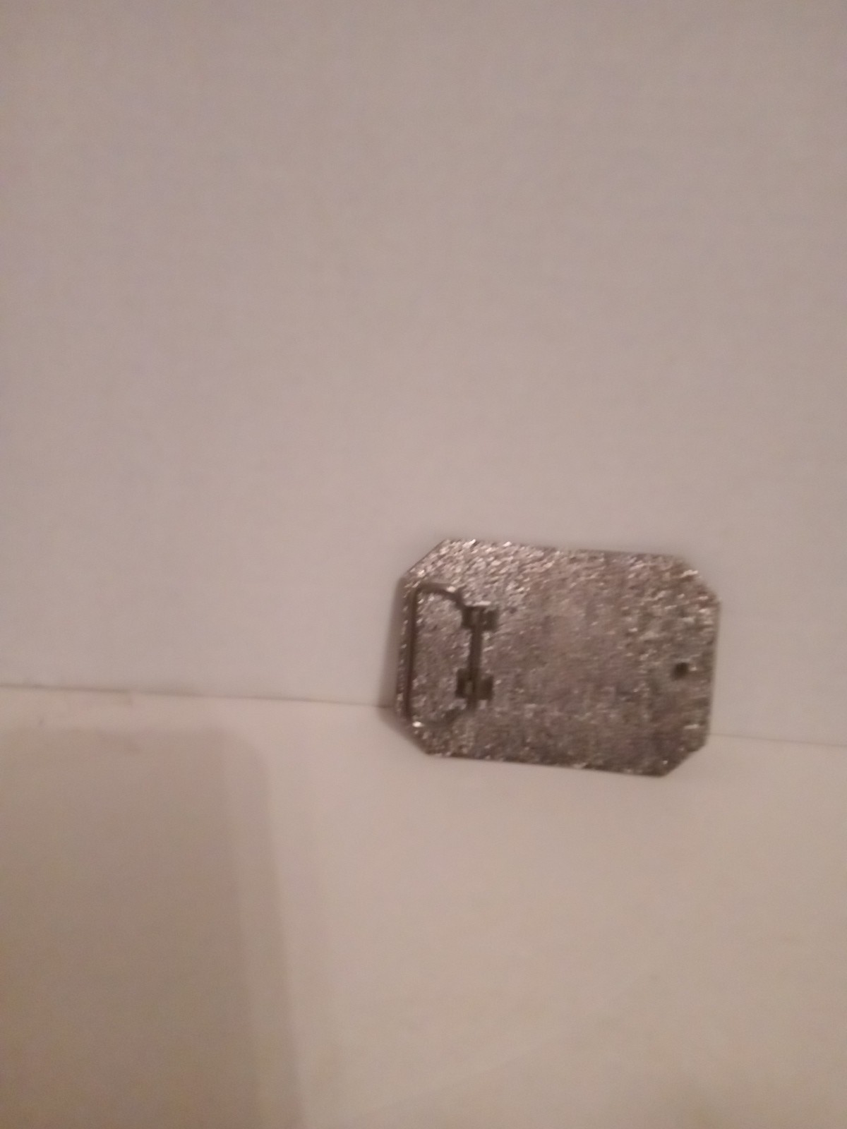 belt buckle