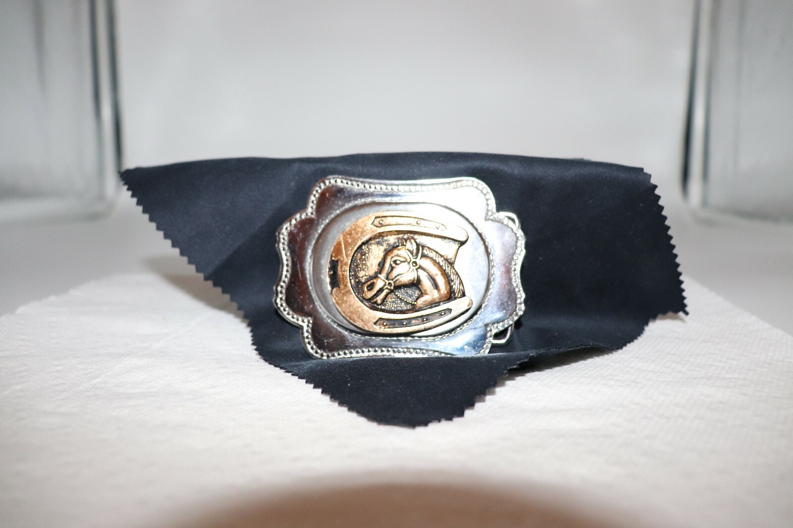 Horse in a Horseshoe Belt Buckle
