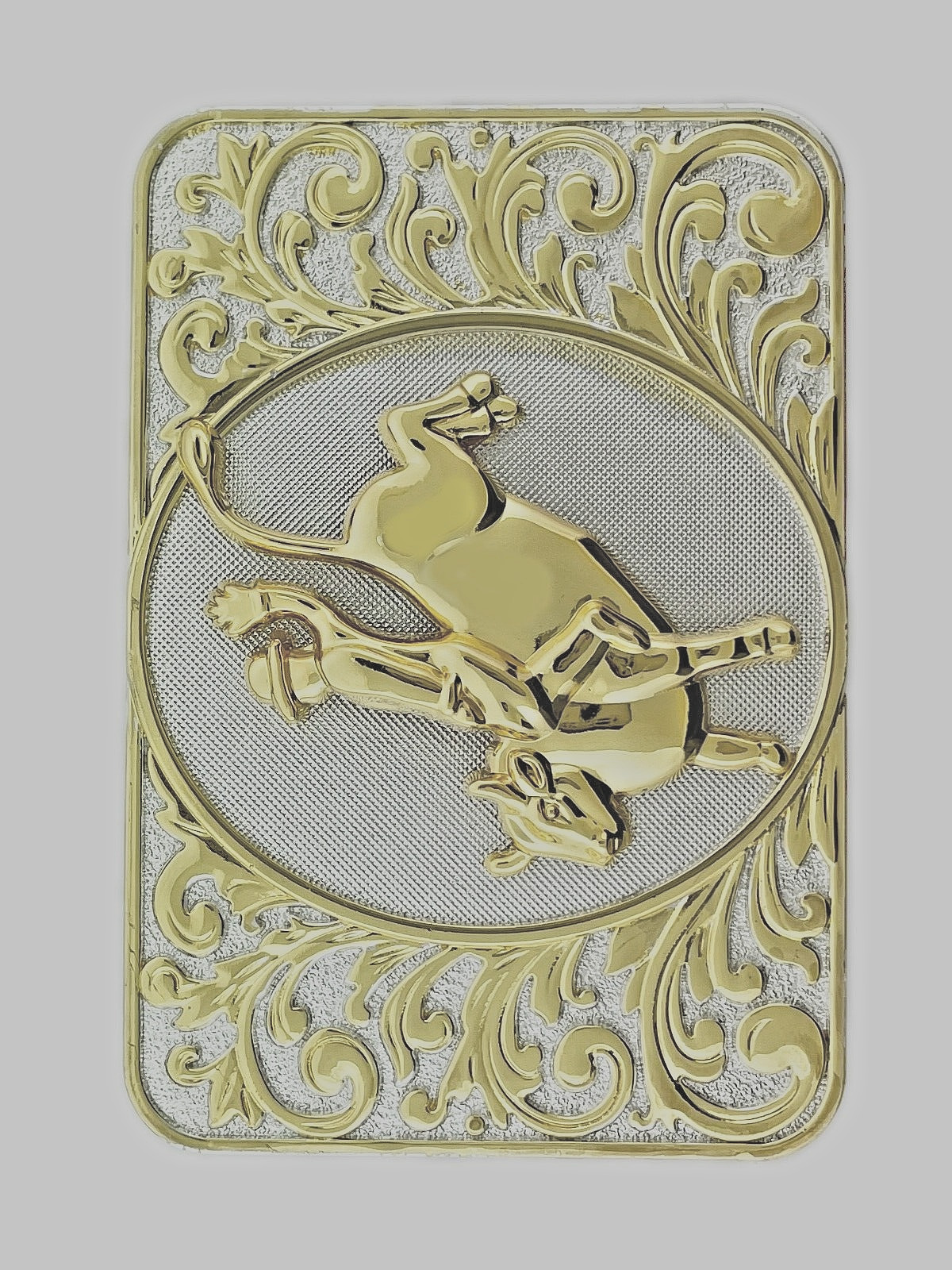 Western Cowboy Cowgirl Men Women State Texas Rode Belt Buckles Gold Silver Metal