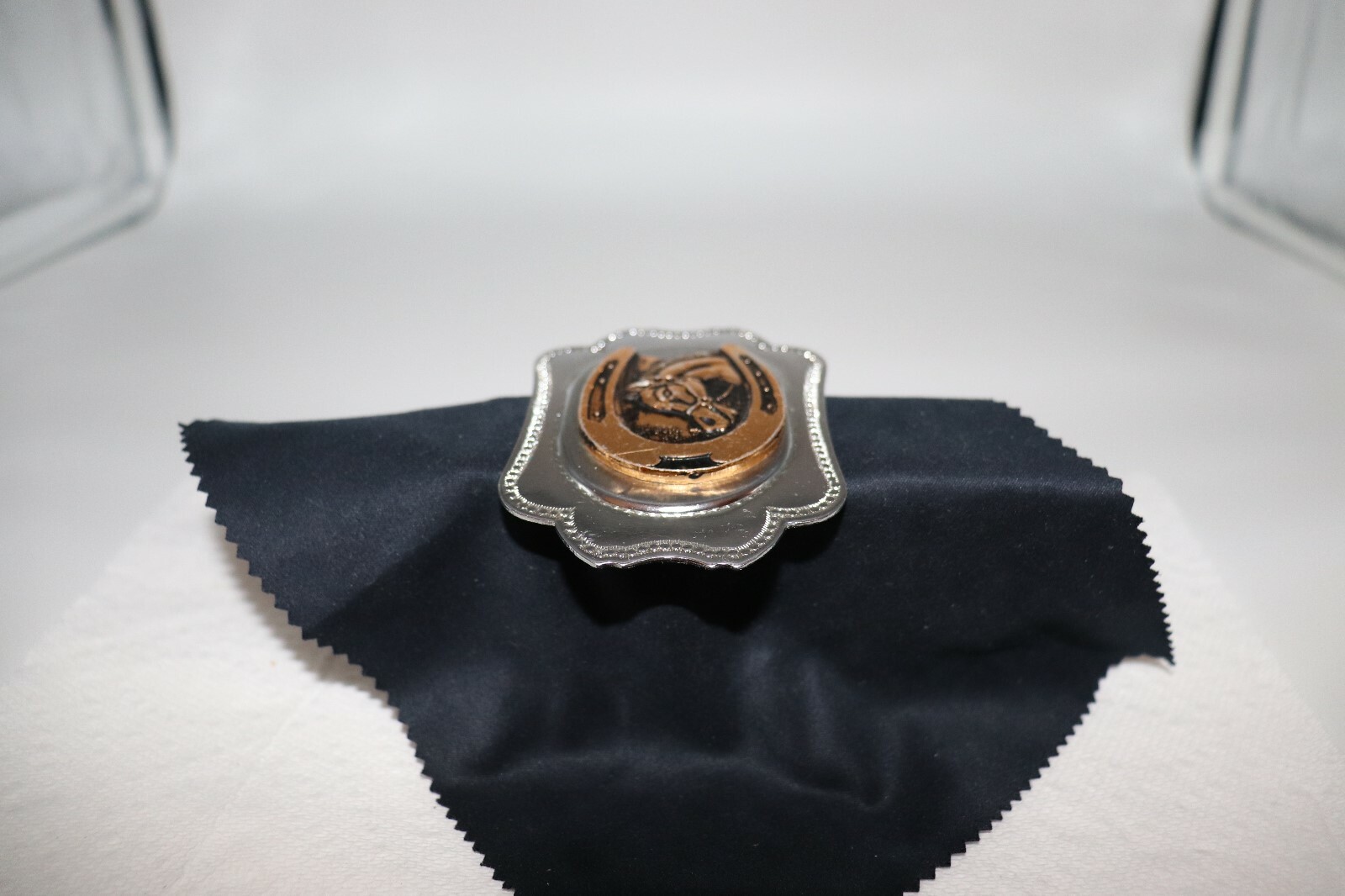 Horse in a Horseshoe Belt Buckle