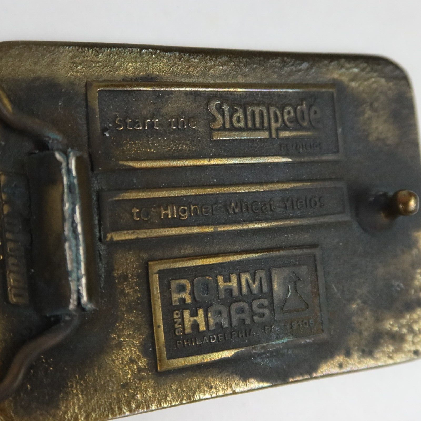 Vintage Stampede Spring Wheat Belt Buckle Farmer 70s Koleaco Rohm Haas Seed USA