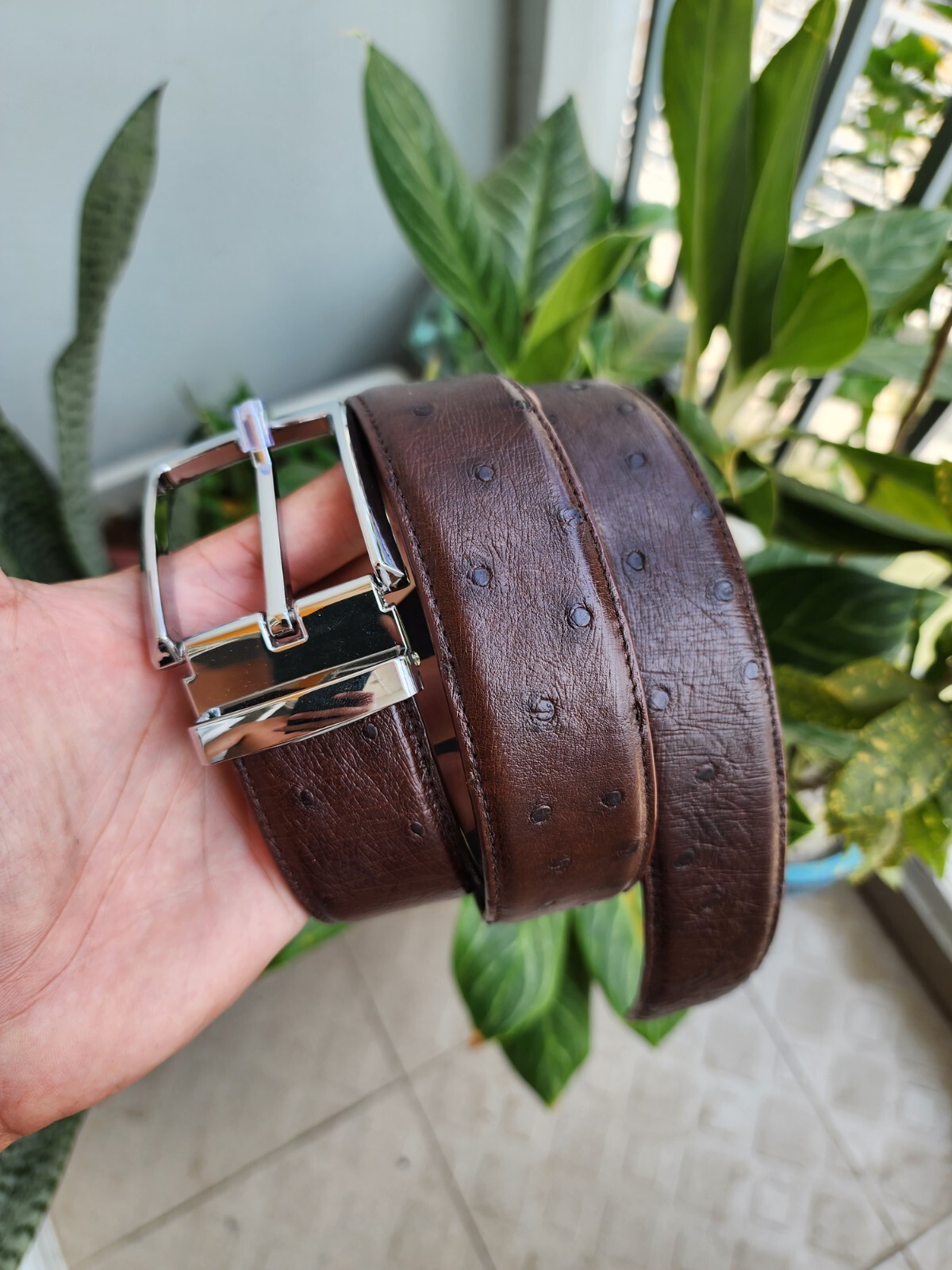 3.8CM Brown 100% Genuine Ostrich Leather Skin Men Belt Silver Buckle- Handmade