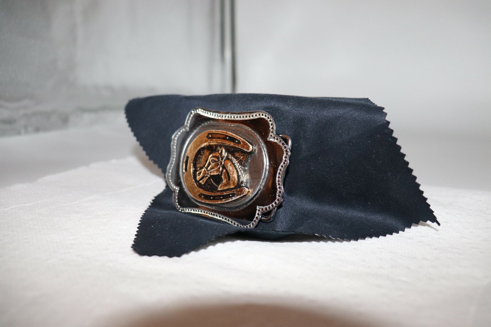 Horse in a Horseshoe Belt Buckle