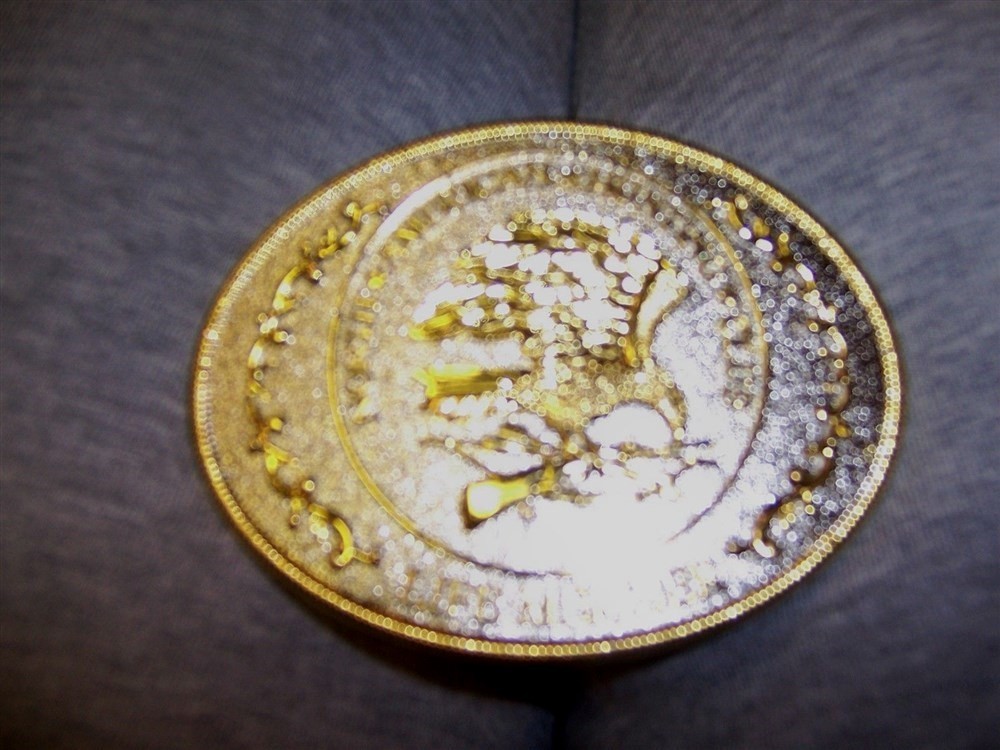 Belt Buckle Eagle North American Hunting Club Life Member Silver Golden New
