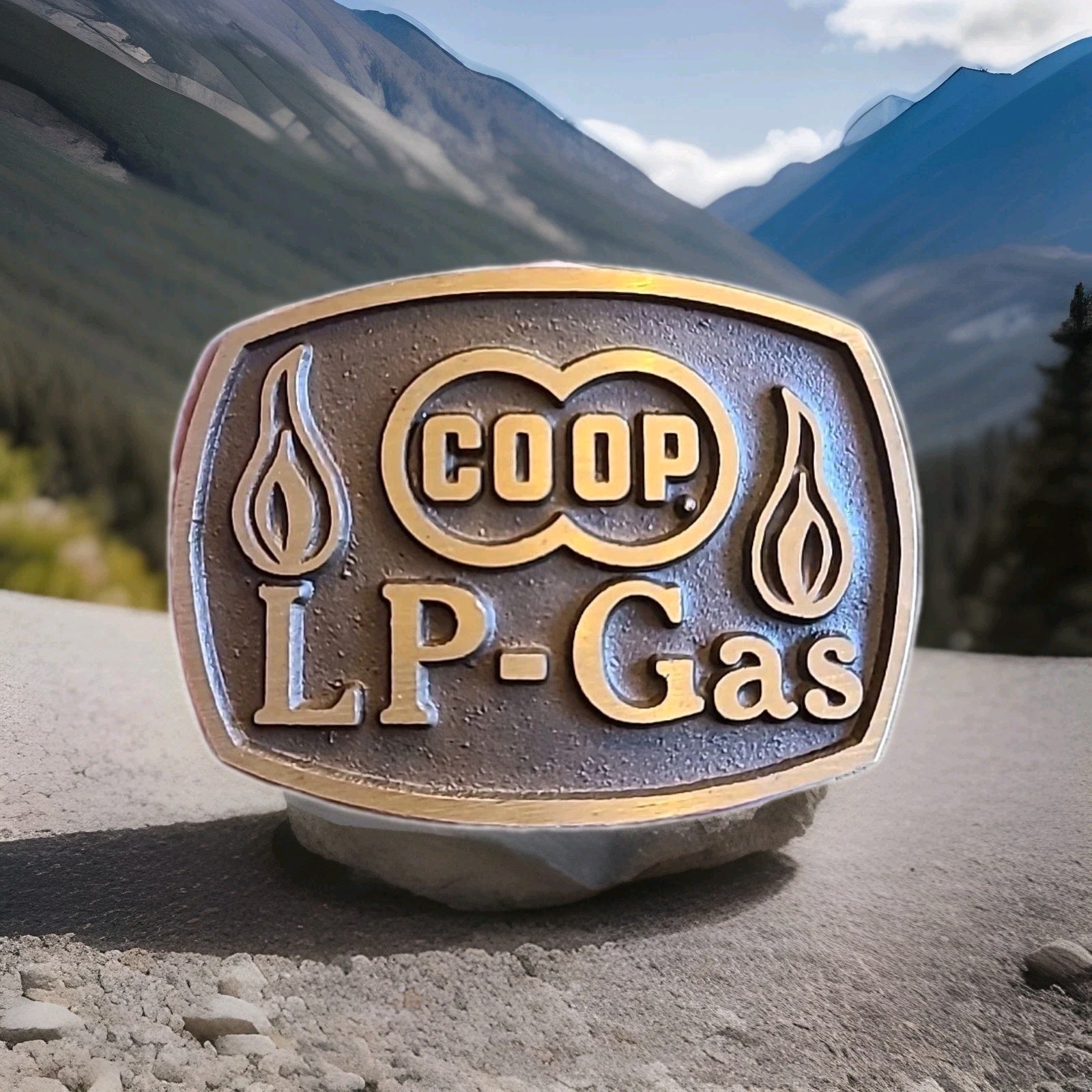 Vtg Coop LP-Gas Metal Belt Buckle Brown/Rust Color 3&Prime;x 2 1/4&Prime; Country Cowboy