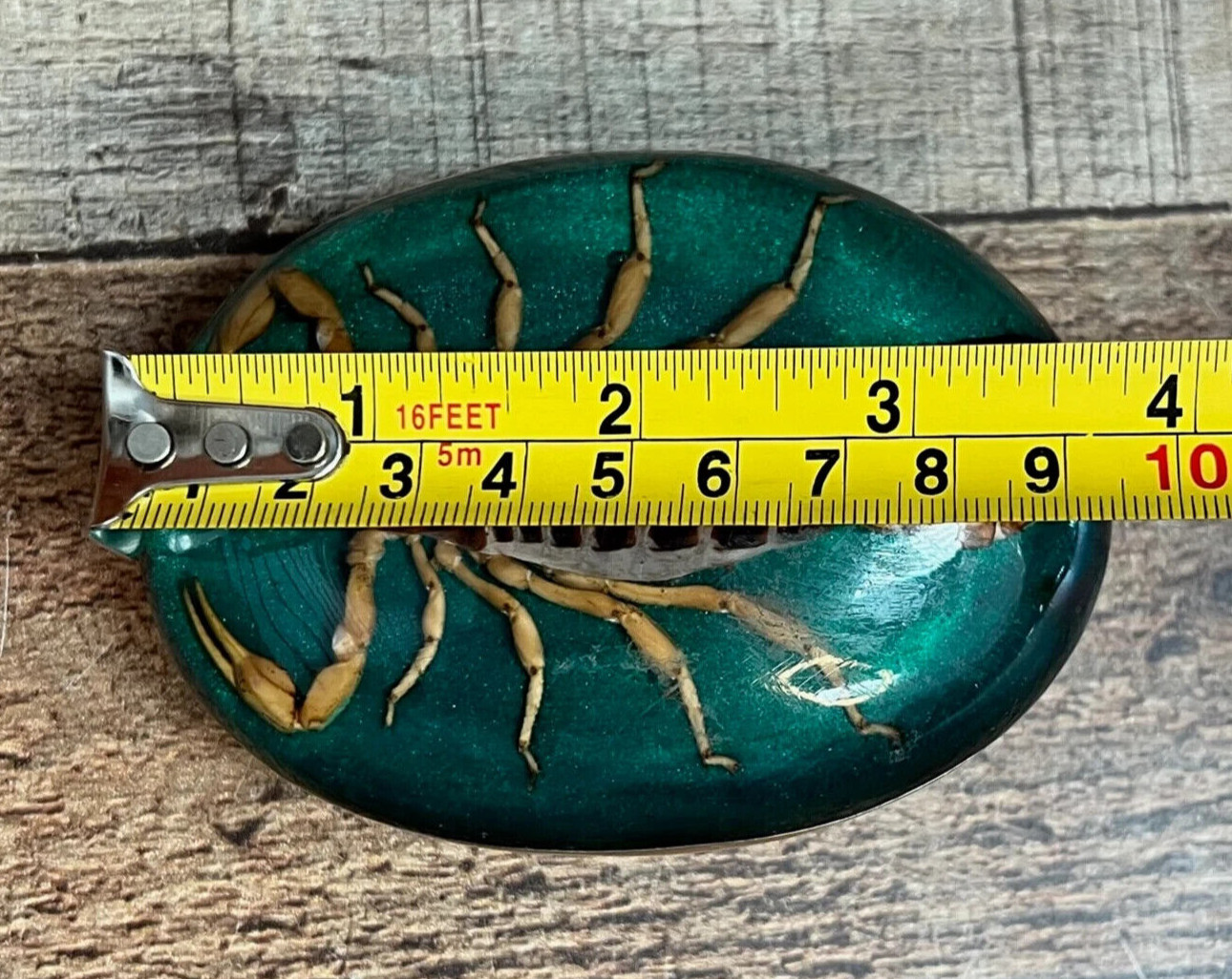 Men Women Real Scorpion Belt Buckle Western Cowboy Vintage MADE IN HECHO MEXICO