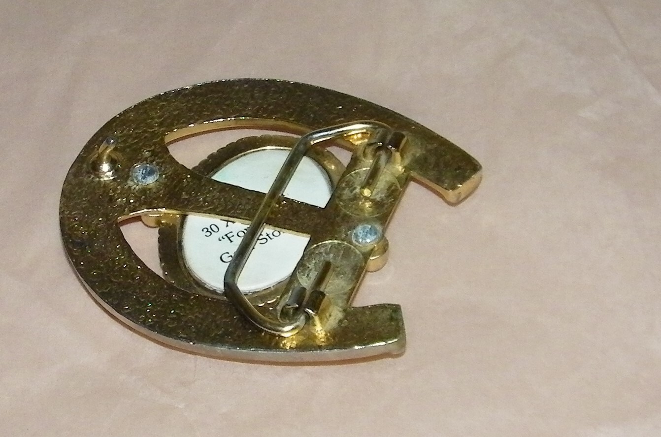 Horseshoe Belt Buckle w/Stone Inlay~Vintage Western Wear~Rodeo~Good Luck Charm