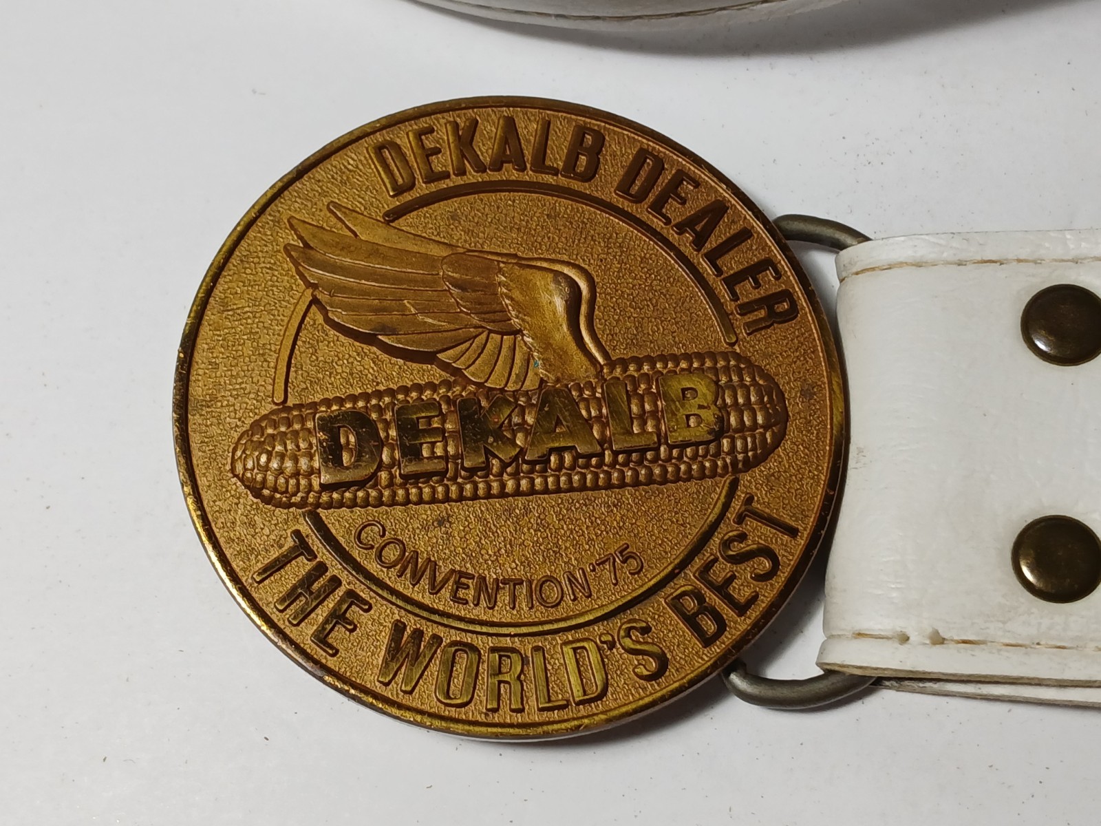 1975 VINTAGE DEKALB CORN DEALER BELT BUCKLE & ORIGINAL BELT CORN FEED SEED FARM