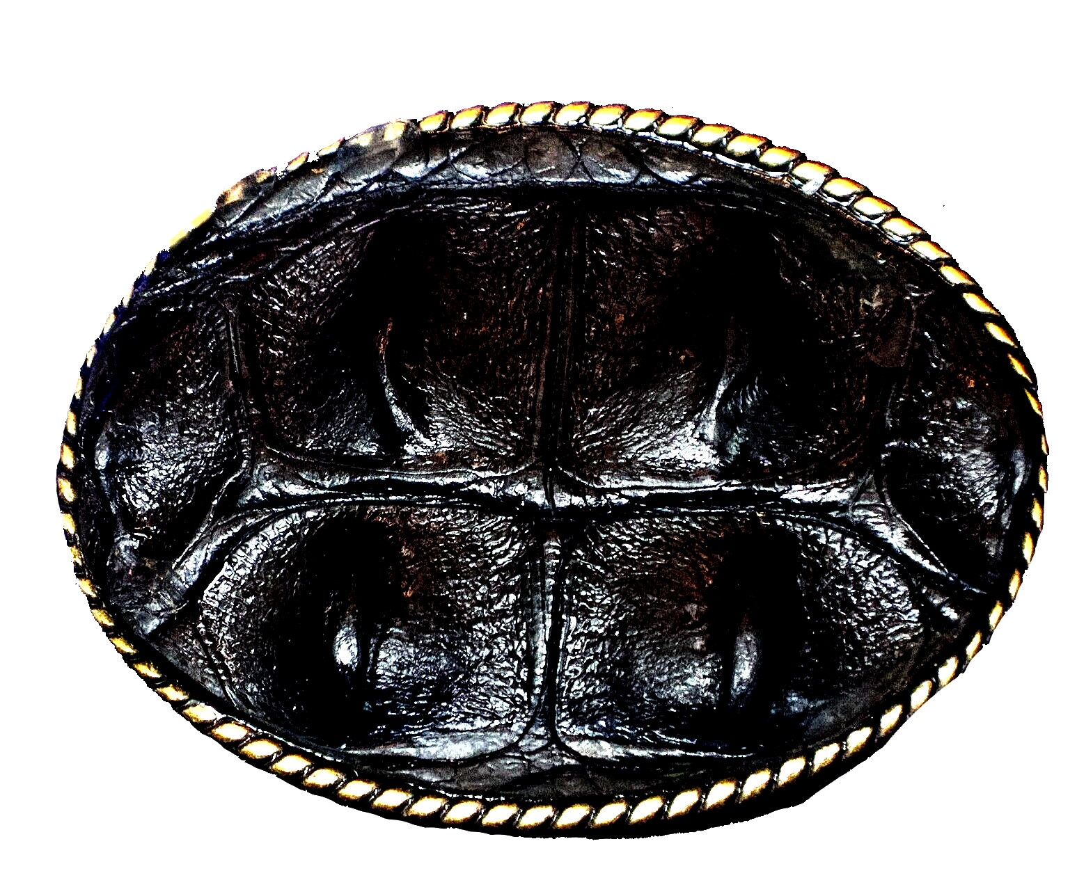 BUCKLE Real HornBack Gator Belt buckle in Black or Brown