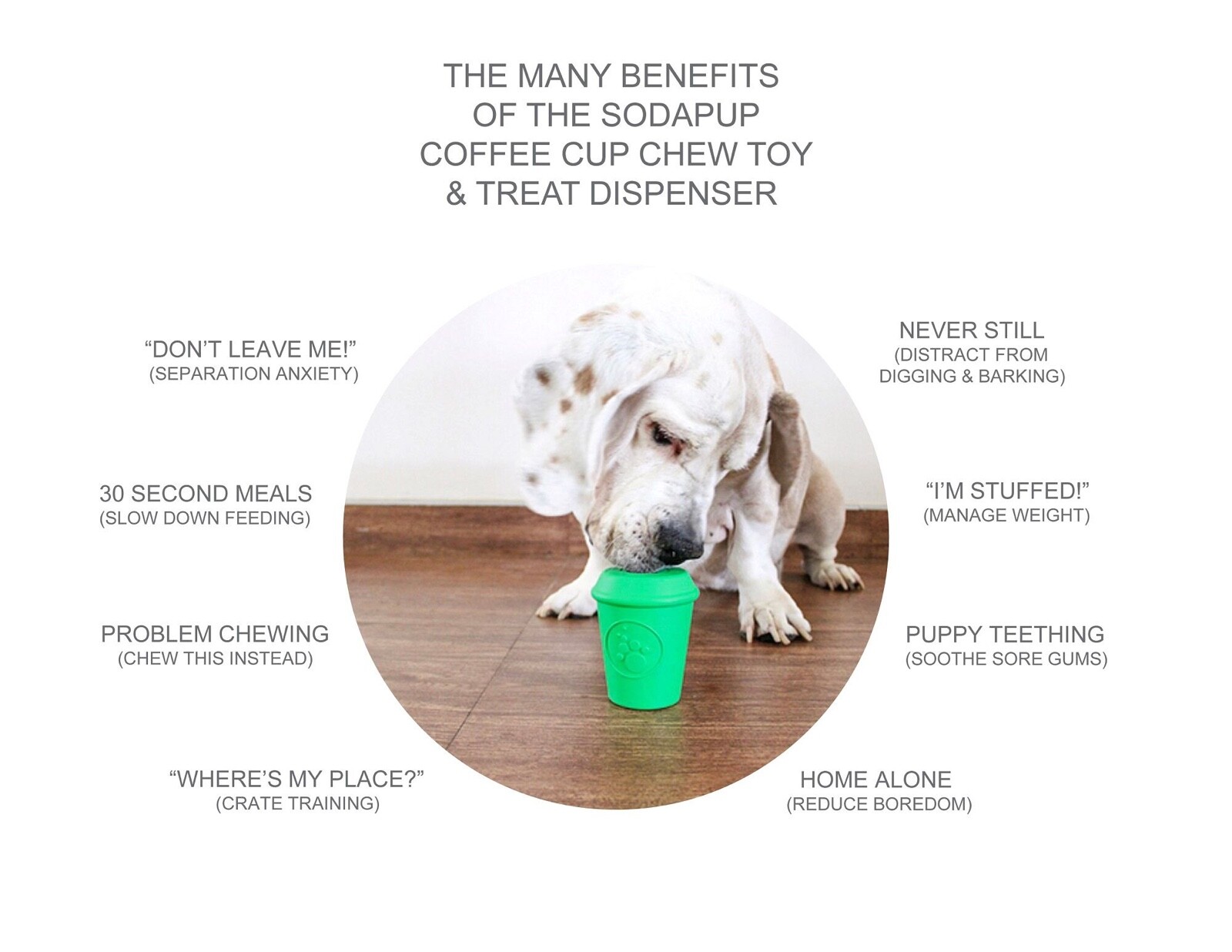 Sodapup Coffee Cup Treat Dispenser Durable Rubber Chew Toy Green – Dog & Puppy