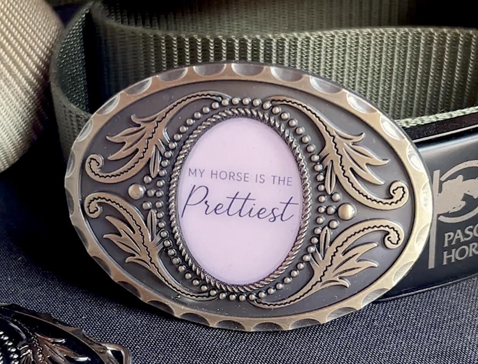 Equestrian Pink Horse Belt Buckle My Horse Is Prettiest Western Resin Metal