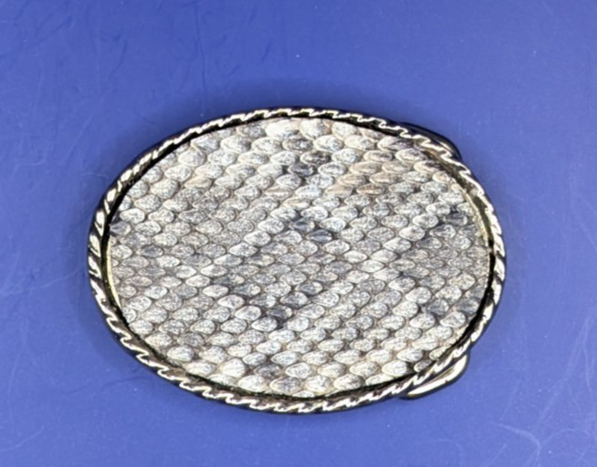 Small Rattlesnake Skin Belt Buckle with Epoxy Overlay USA made fits 1-1/4&Prime; Belt