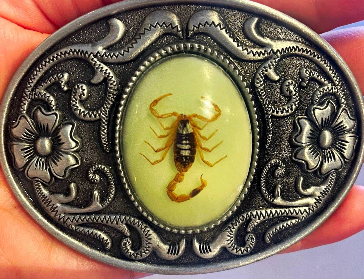 UV Glow Western Oval Scorpion Engraved Metal Belt Buckle 1.5in Silver
