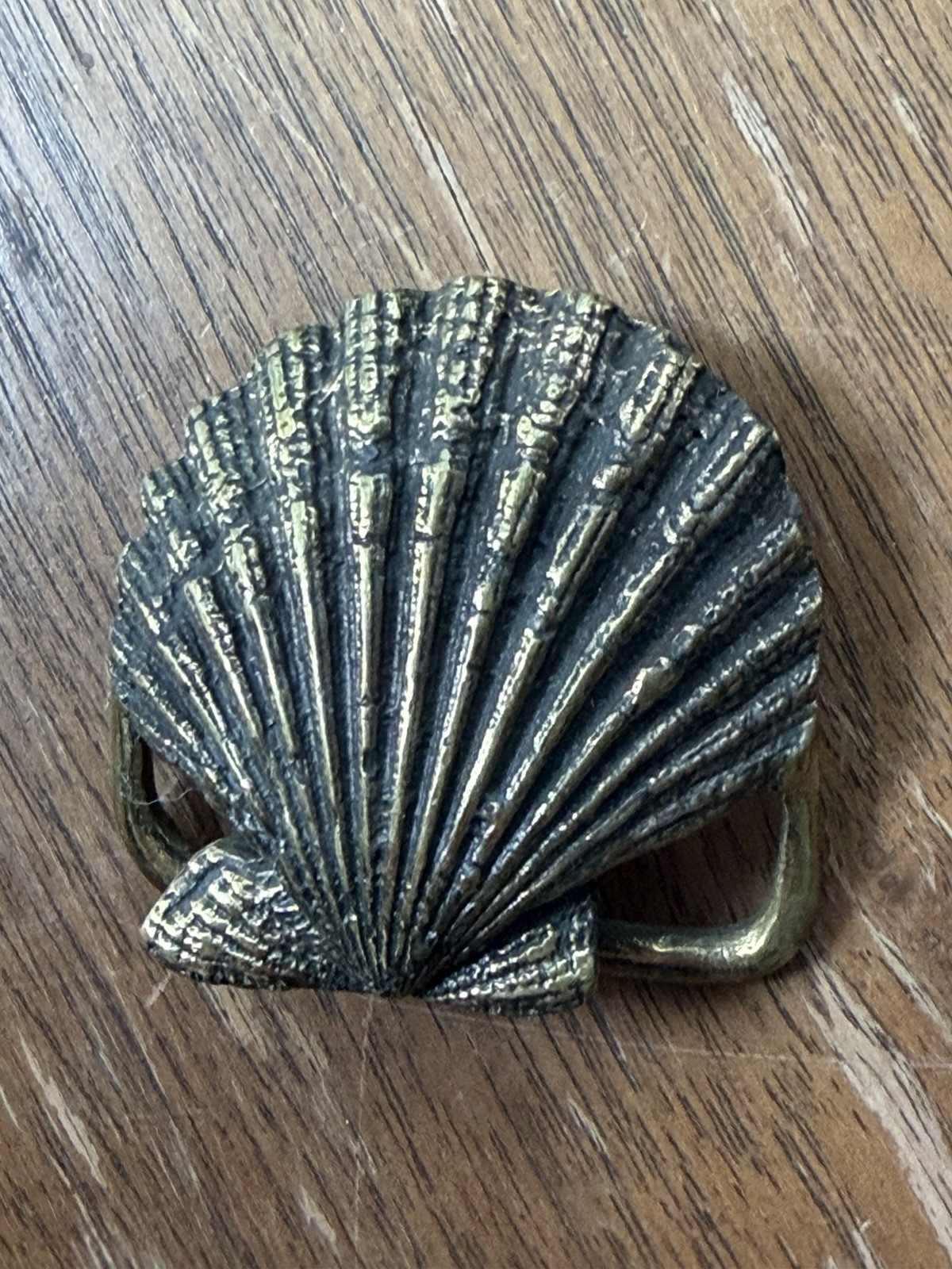 Vintage SHELL Brass Belt Buckle sea ocean SCALLOP Clam 2” x 2”