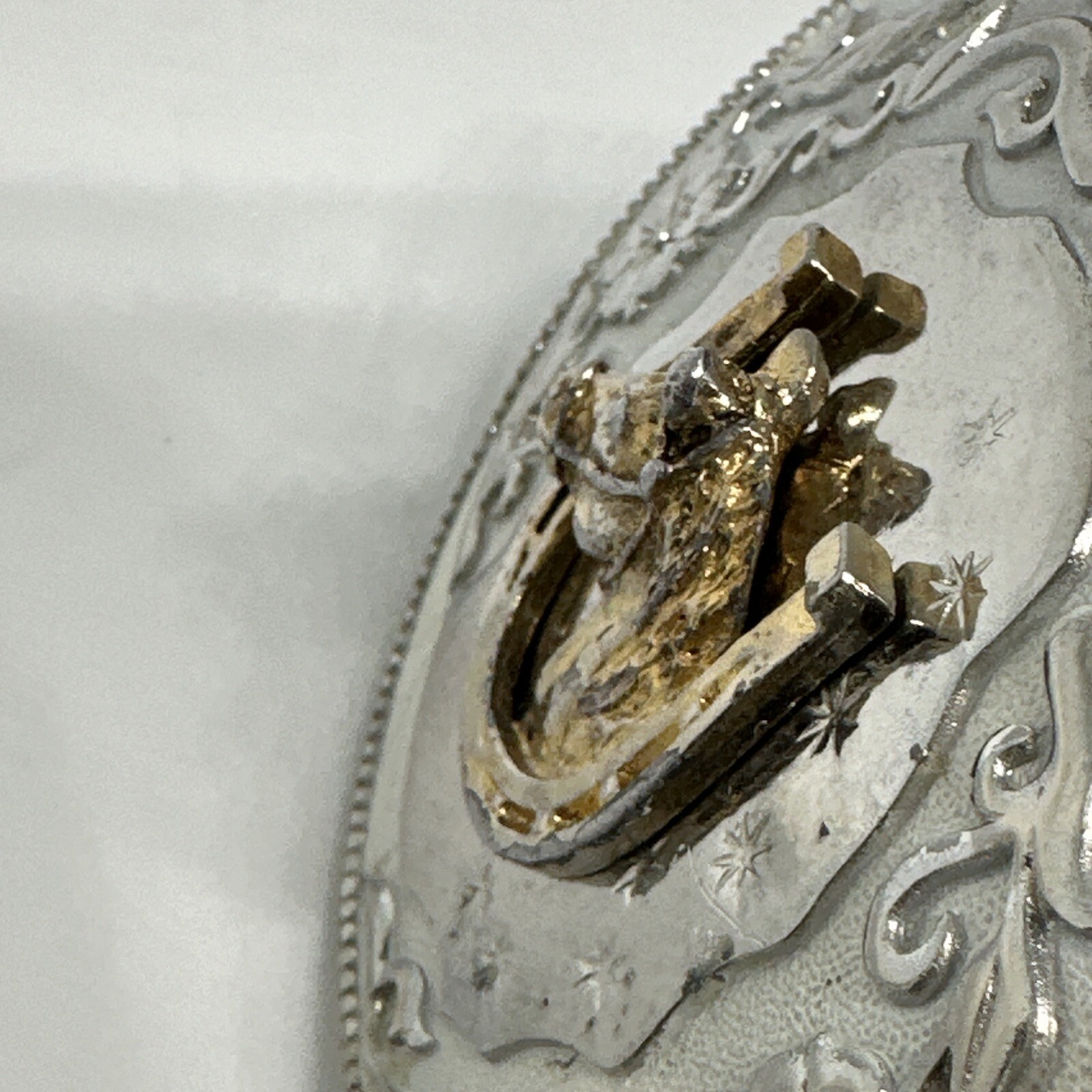 Vintage Horse Head In Horseshoe Western Belt Buckle Hibiscus Amapola FlowerVine