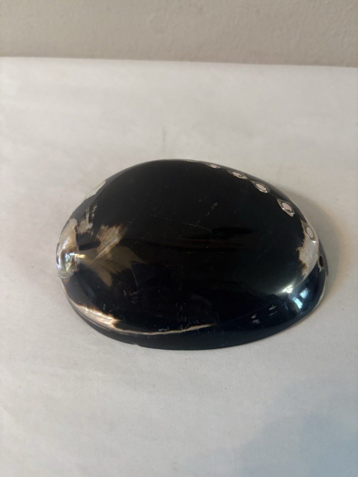 Vintage Polished Black Abalone Shell Belt Buckle by Elite in Fresno, California