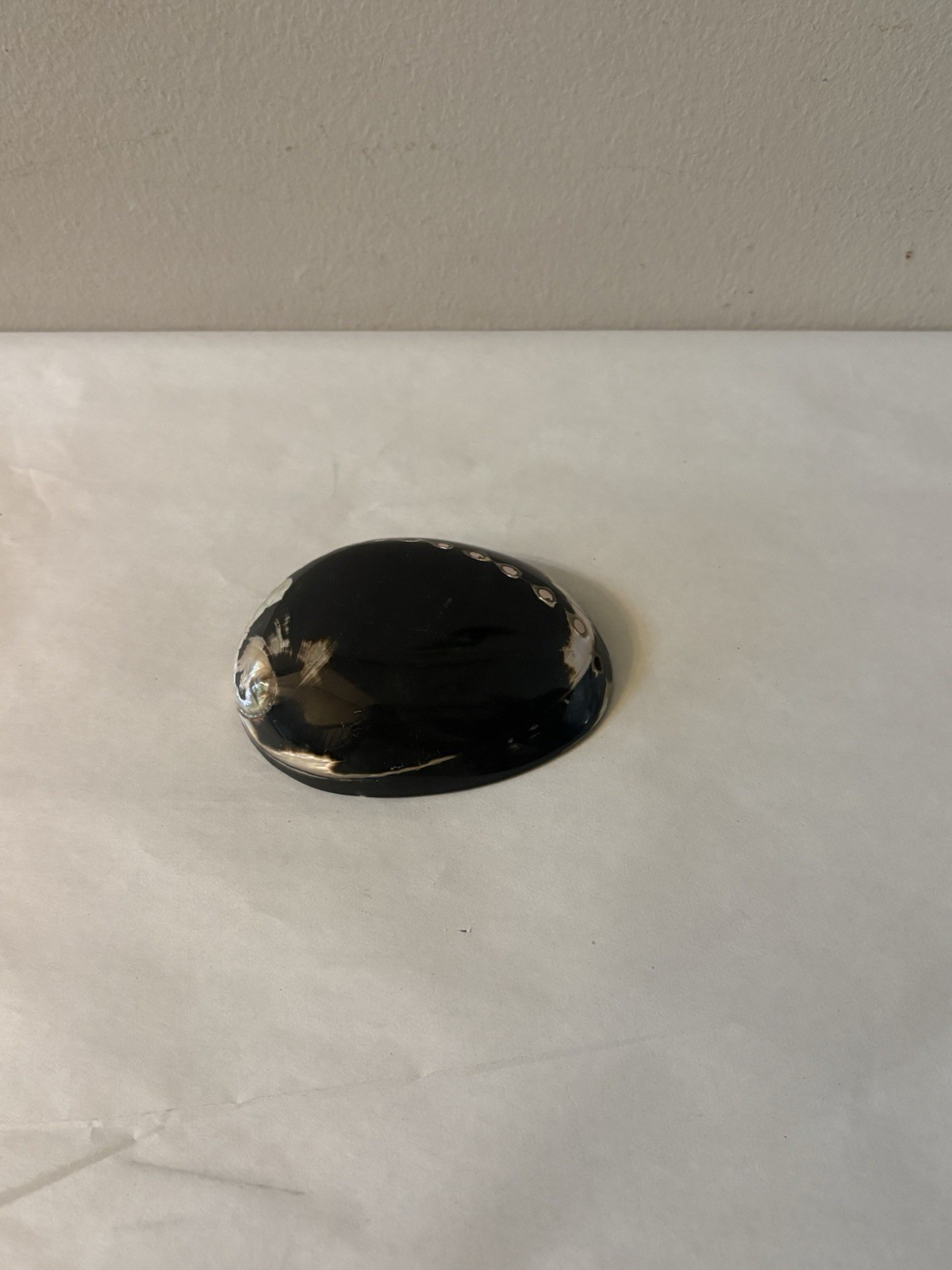 Vintage Polished Black Abalone Shell Belt Buckle by Elite in Fresno, California