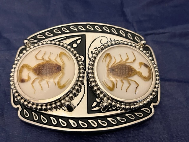 Silver tone Scorpion Belt Buckle and Bolo Set