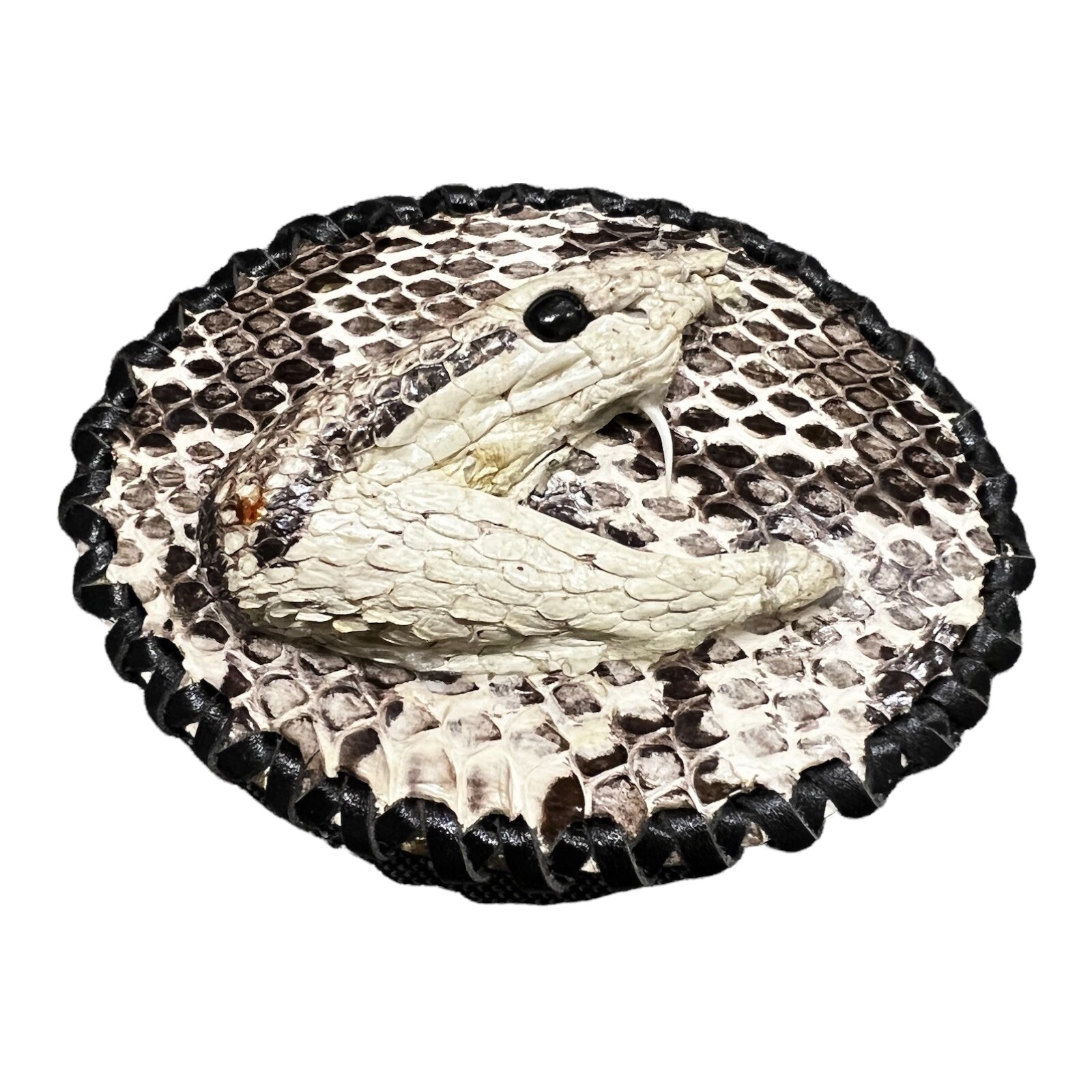 Rattle Snake Buckle Western Cowboy Style hebilla piton víbora Vaquero
