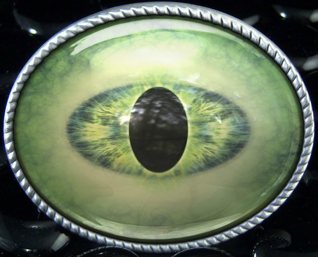 Alien Eye Sci-fi Reptile Monster Men Women Handmade Belt Buckle