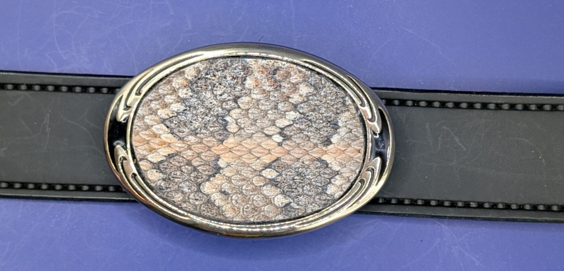 Real Canebrake/Timber Rattlesnake Insert Belt Buckle made in USA #2621