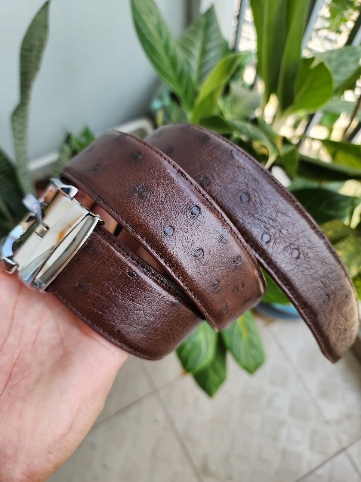 3.8CM Brown 100% Genuine Ostrich Leather Skin Men Belt Silver Buckle- Handmade