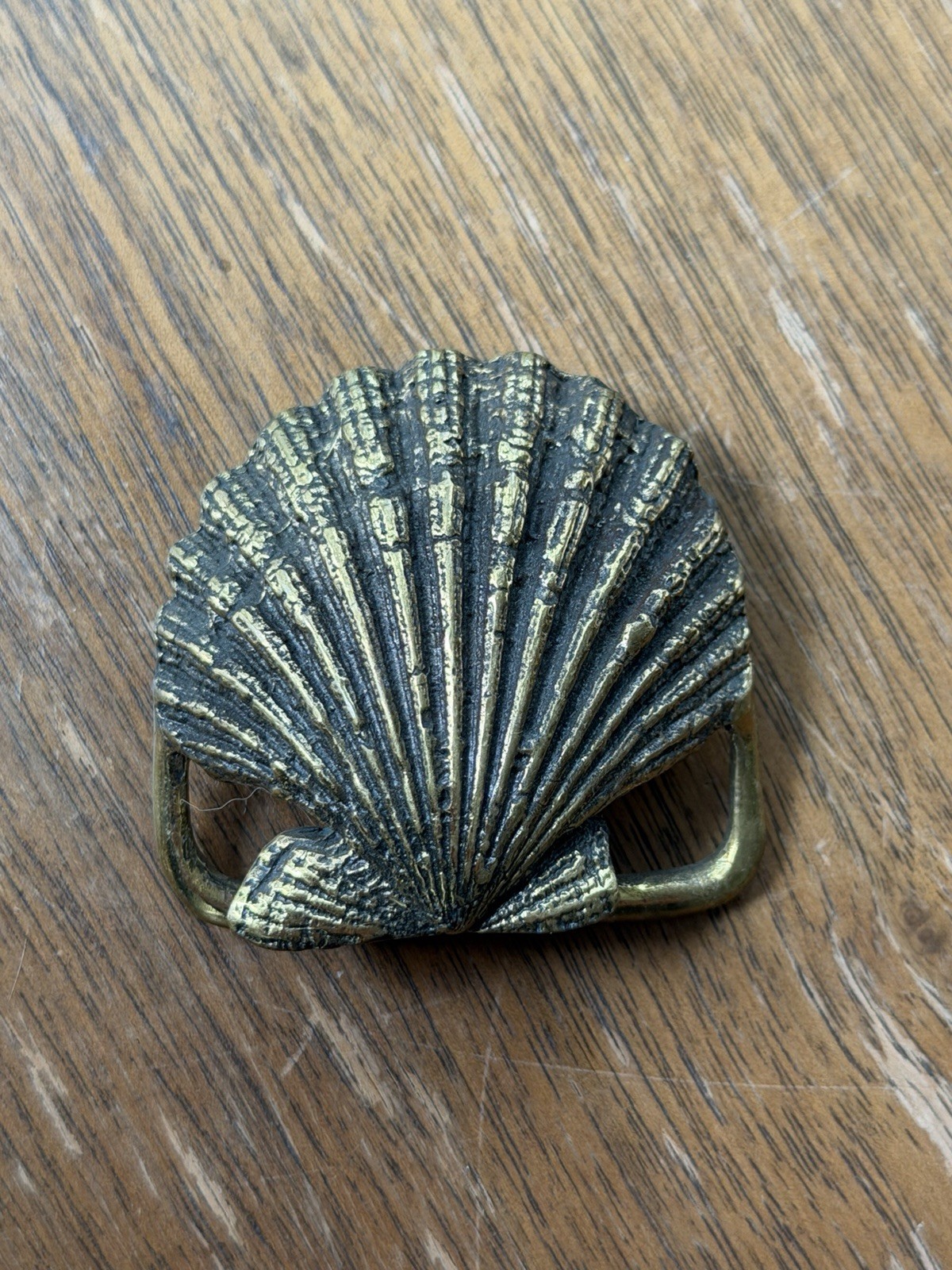 Vintage SHELL Brass Belt Buckle sea ocean SCALLOP Clam 2” x 2”
