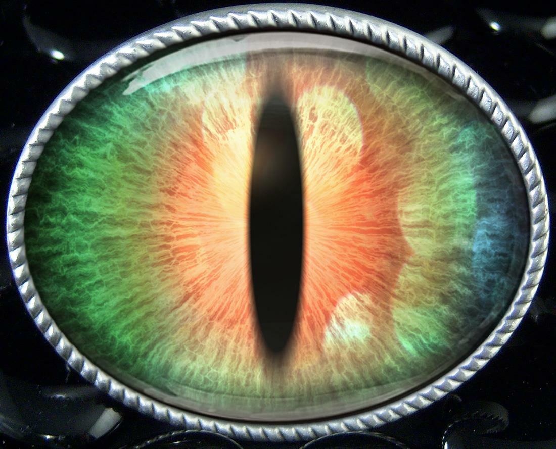 Cosplay Eye Belt Buckle – Sci-fi Fantasy Handmade Silver Buckle – 74-E