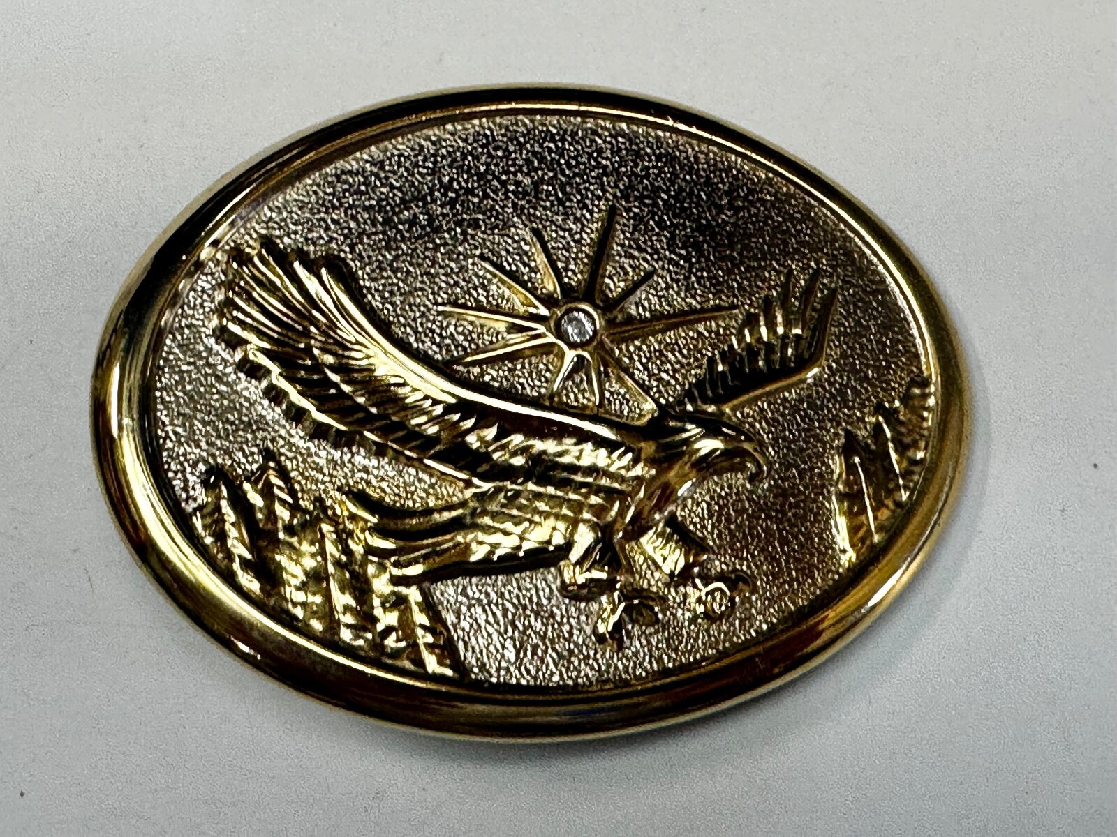 Eagle With Starburst USA Patriotic Belt Buckle Golden Western Bird Wings Cowboy