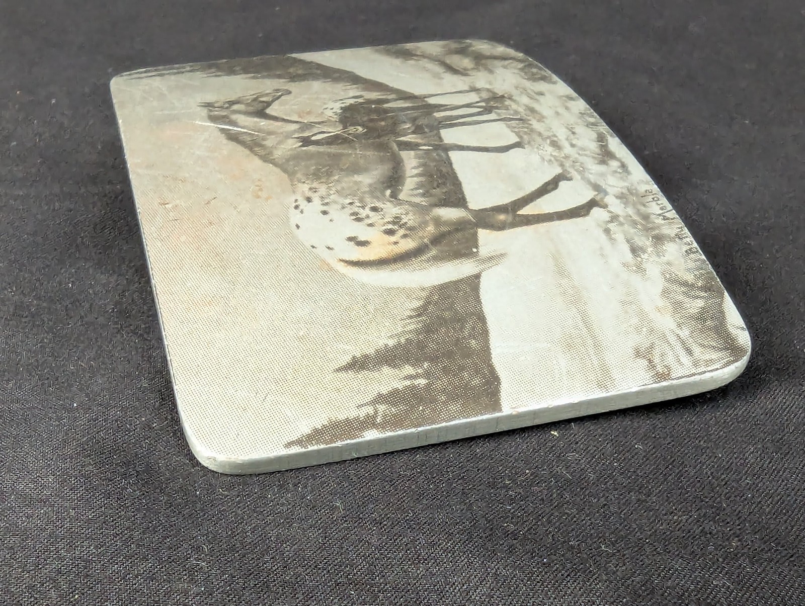 Vintage Perma-Tech Belt Buckle Appaloosa Mare and Foal Etched Aluminum 3.5 Inch